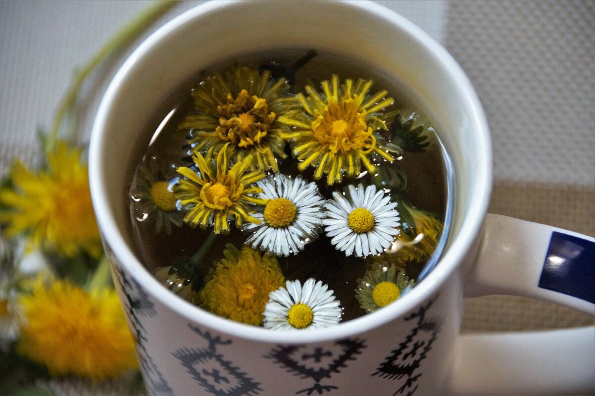 consigli detox post Natale